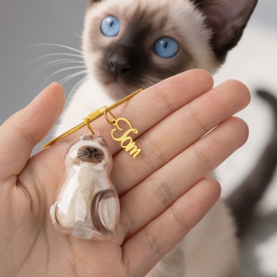 Cat Owner