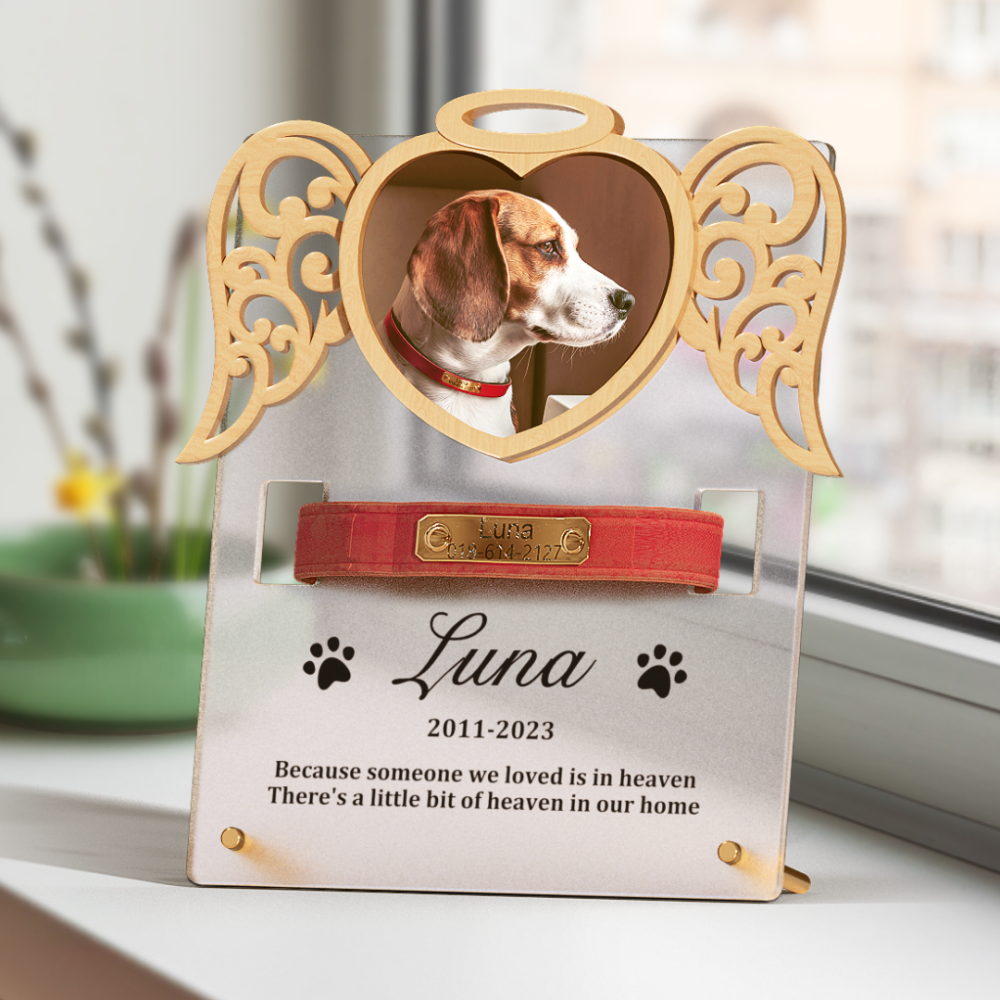 Custom Pet Collar Sign, Collar Holder, Pet Memorial Gift