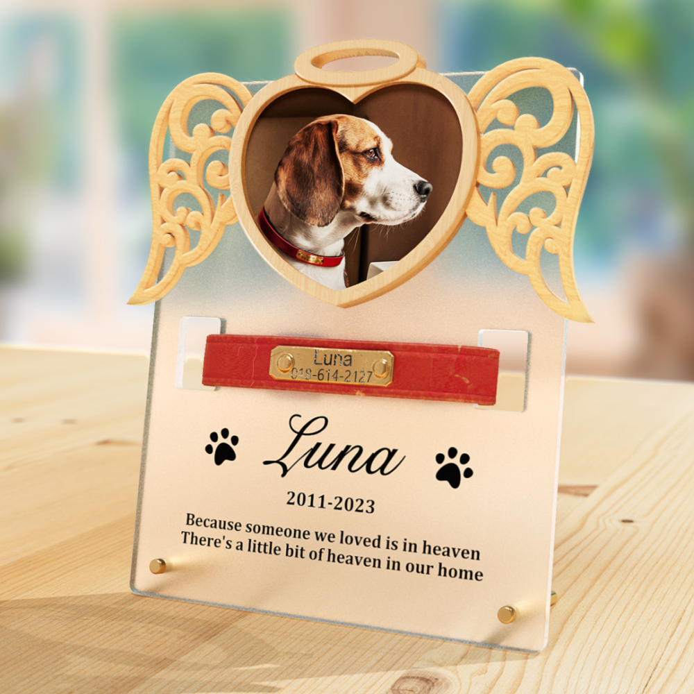 Custom Pet Collar Sign, Collar Holder, Pet Memorial Gift