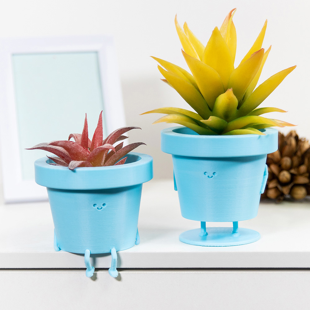 Vaso de plantas fofo personalizado
