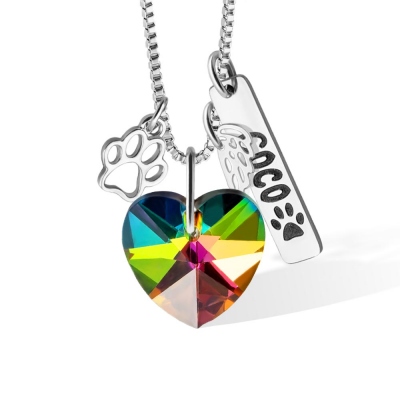 Custom Pet Loss Rainbow Crystal Necklace, Stainless Steel Angel Wing Paw Pet Name Tag & Rainbow Bridge Pendant, Pet Memorial, Gift for Pet Lover