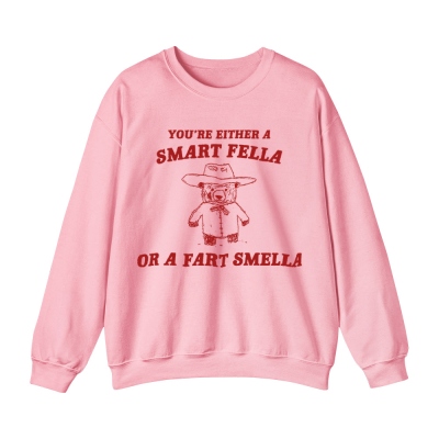 You're Either a Smart Fella or a Fart Smella Retro Cartoon T-Shirt/Sweatshirt, Funny Meme Tee, Trash Panda Shirt, Unisex Fit, Gift for Family/Friend