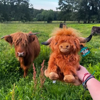 Personalized Highland Cow Stuffed Animal, Cow Plush Toy with Custom Ear Tag, Soft Plush Country Farm Highland Cattle Decor, Gift for Baby/Girls/Boys