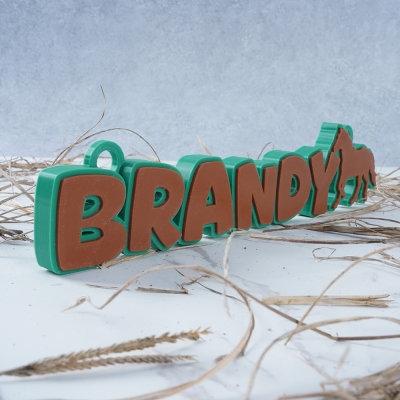 Personalized 3D Printed Horse Name Plate, Custom Name Multicolor Stable Door Sign, Horse Stall Plaque, Gift for Horse Lovers/Equestrians/Riders