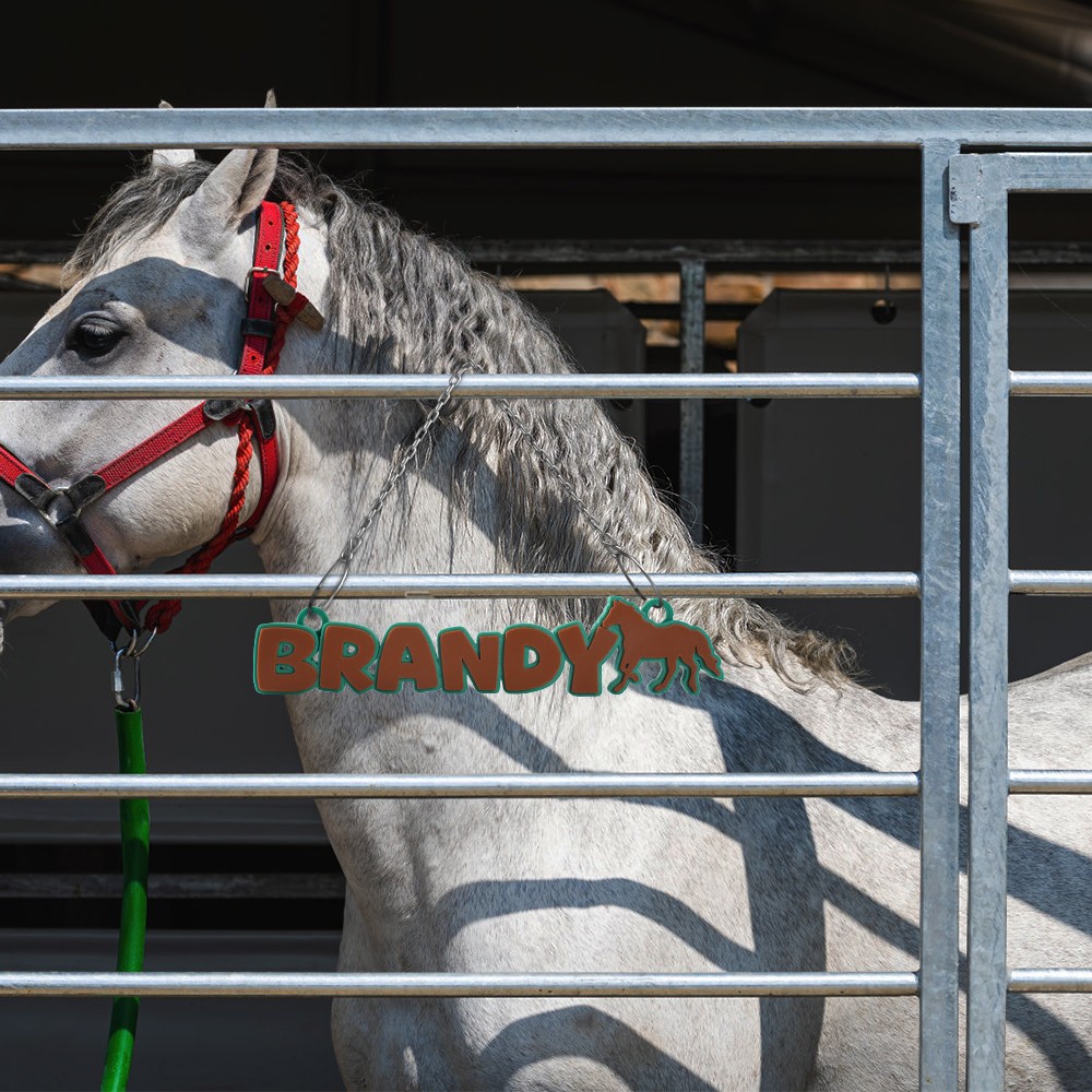 horse nameplate