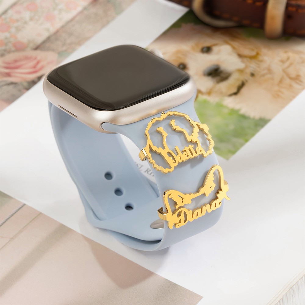 watch accessories