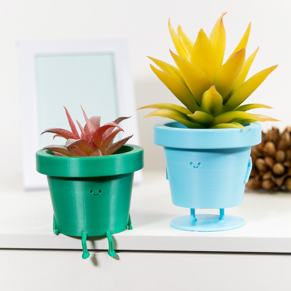 Roseinside | Personalized Plant Pot