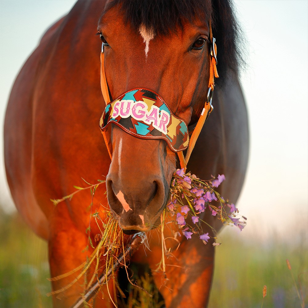 Personalisierte Namens-Nasenbänder aus Leder, individuelle Namensschilder für Pferde, Gedenkdekoration, Pferdezubehör, Geschenke für Pferdeliebhaber/Reiter
