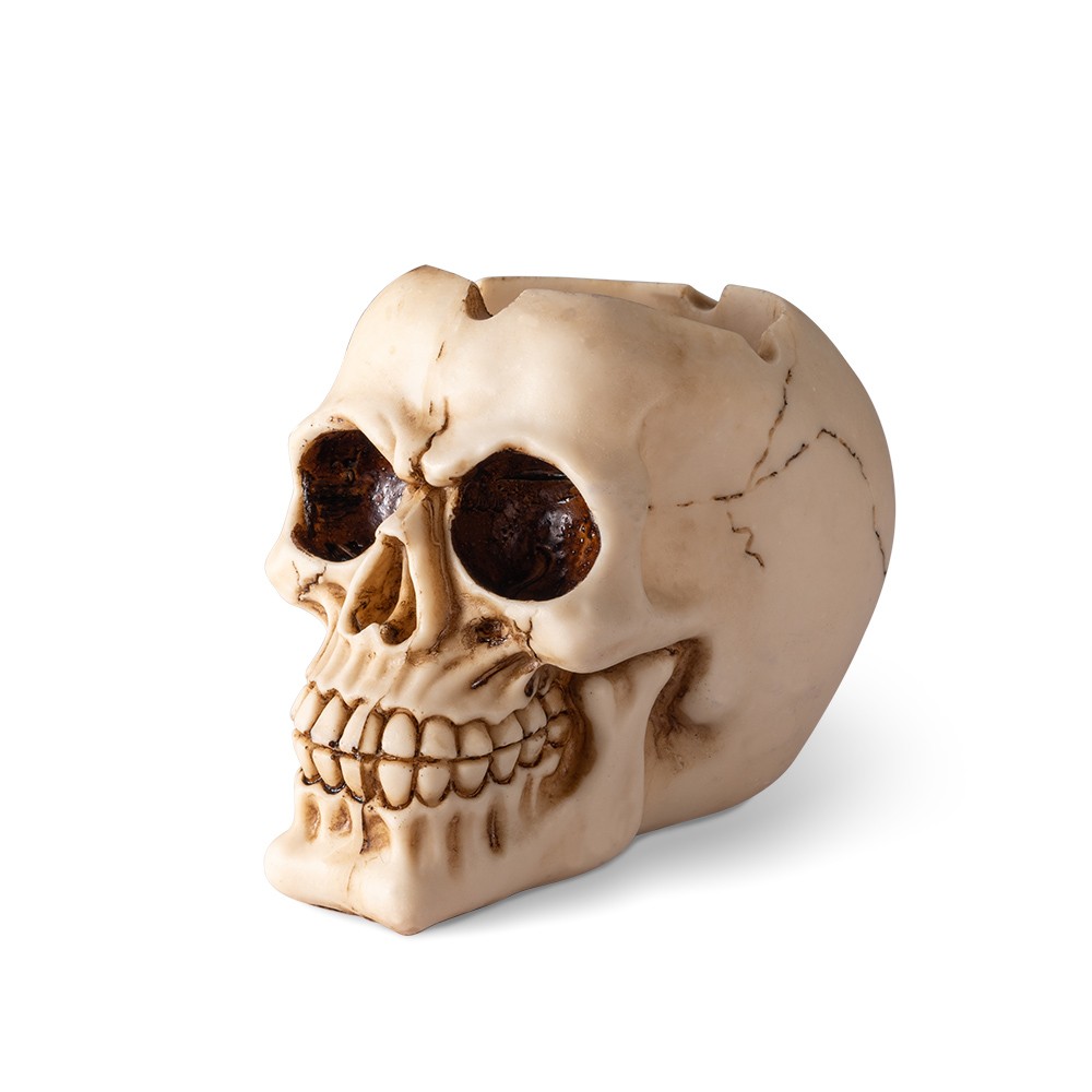 gothic human skull