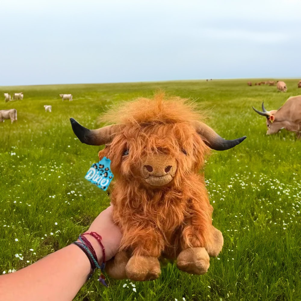 highland cow stuffed animal