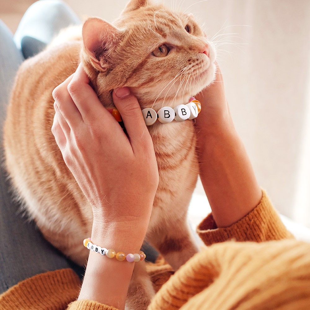 Beaded Cat Collar