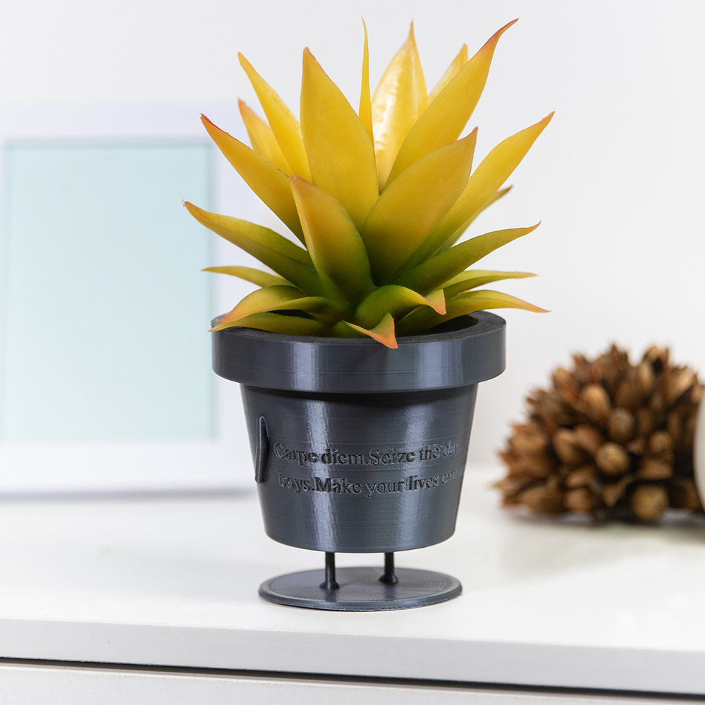 Vaso de plantas fofo personalizado