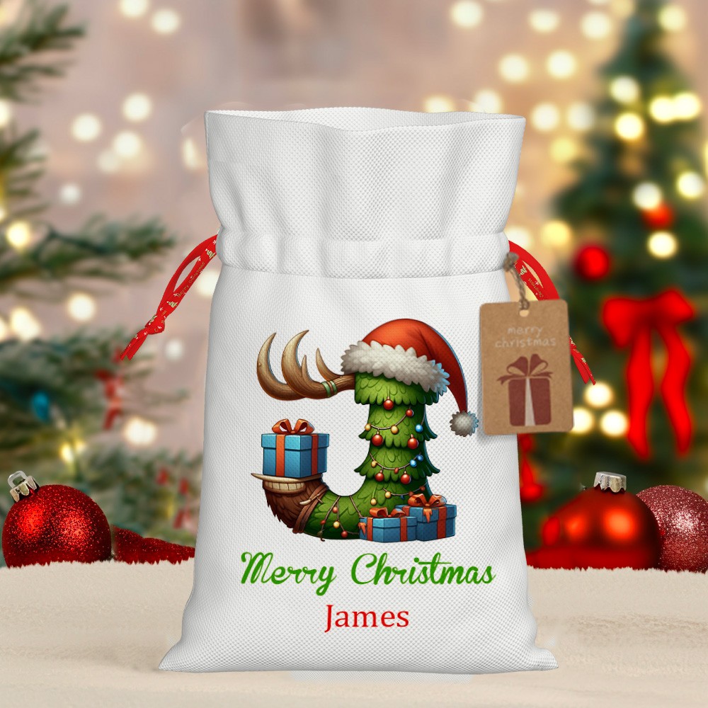 Drawstring gift bag