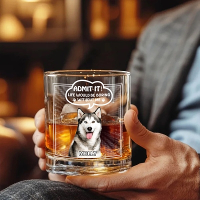 pet photo