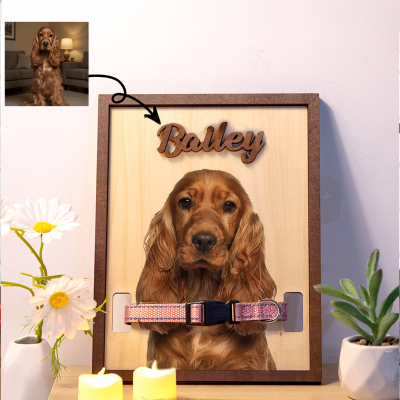 pet photo