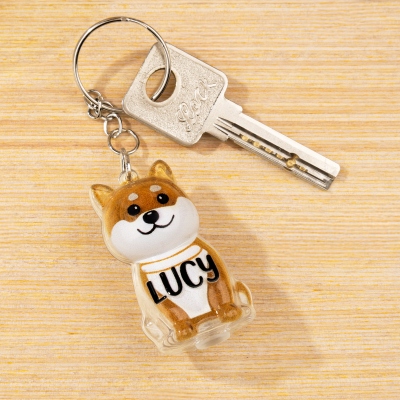 Personalized Dog Hair Holder Keychain – Custom Name Memorial Keepsake in Dog Breed Shape, Unique Remembrance Gift for Dog Owners
