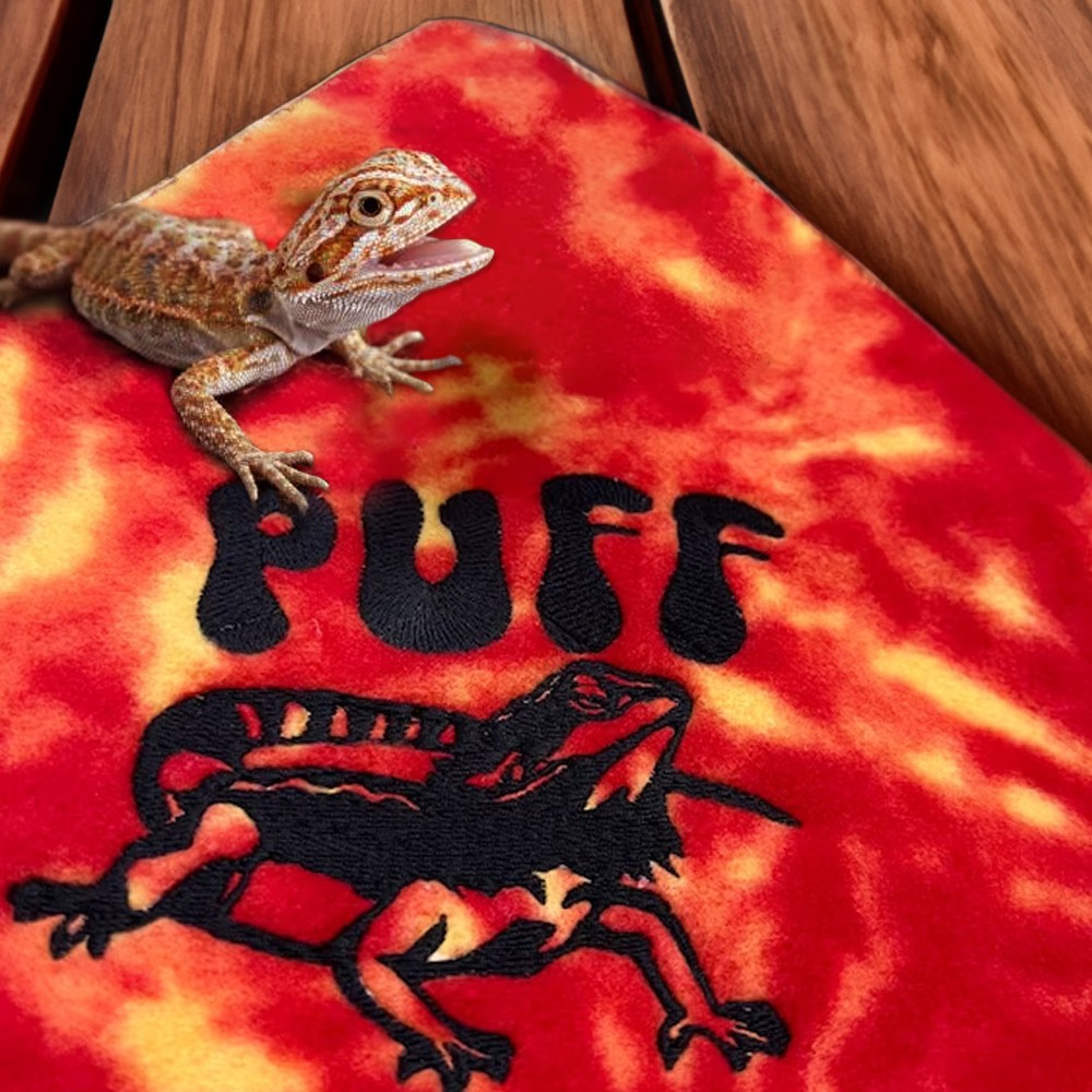 Bearded Dragon Accessories - Bearded Dragon Leash And