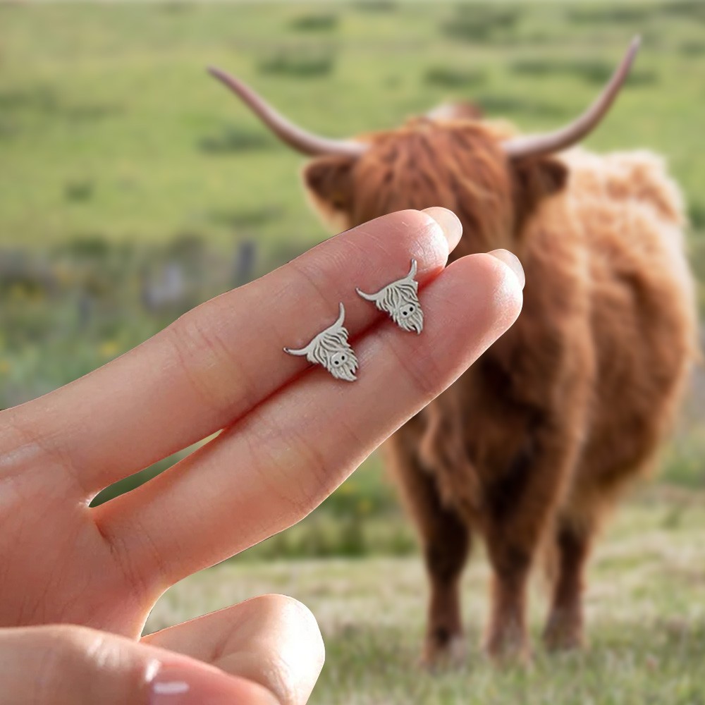 Highland Cow Studs