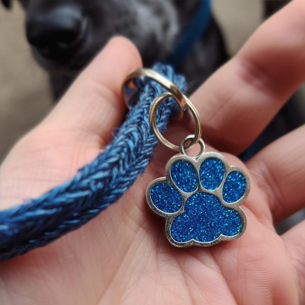 Personalisierte Haustier Namensschild - Silber, 20x20mm, Gravierbar