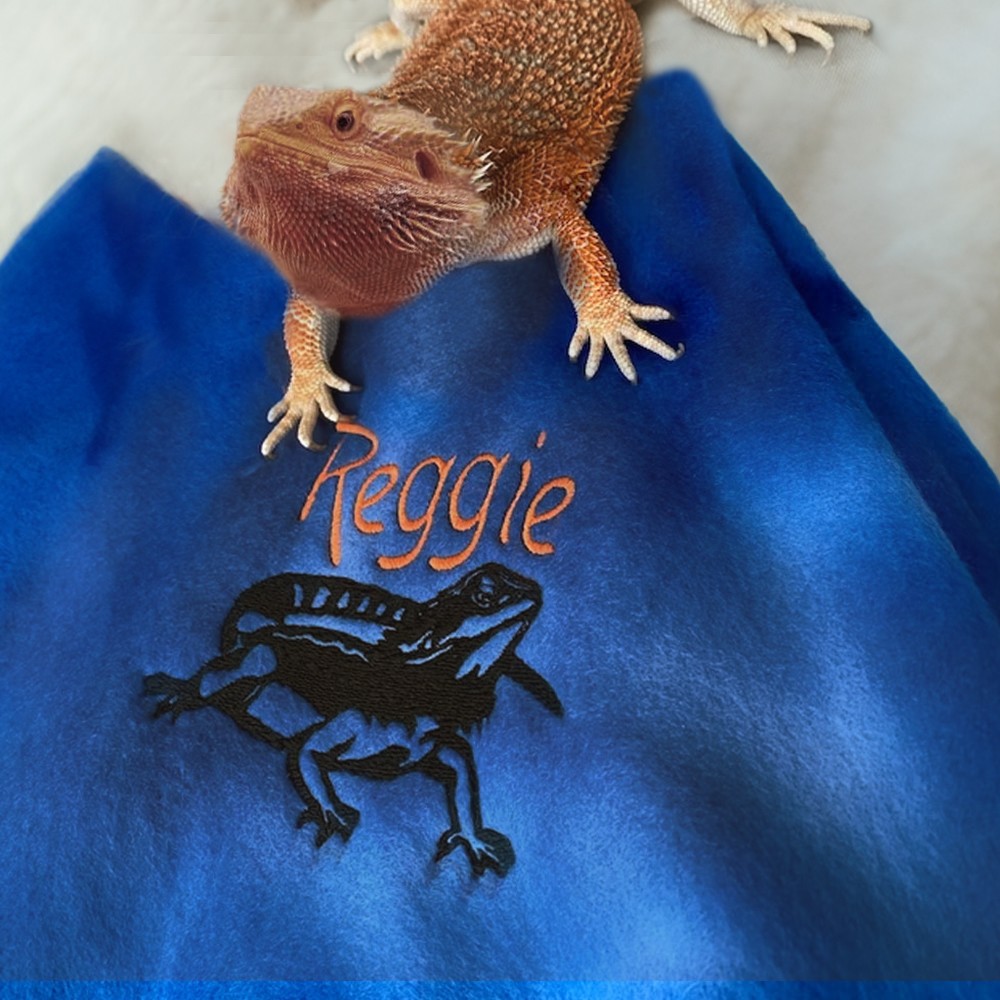 accessoires pour réservoirs de reptiles