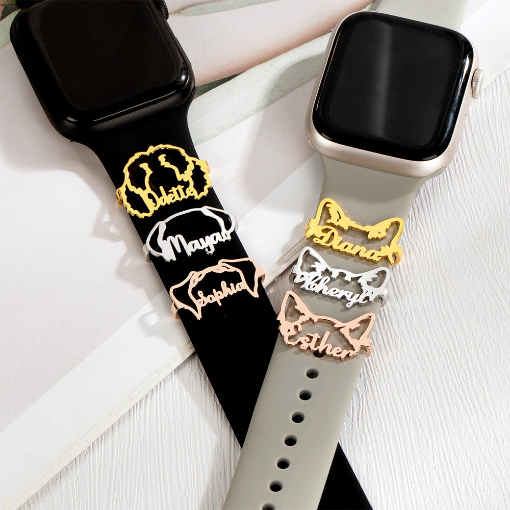 watch accessories