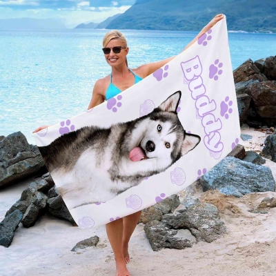 pet photo