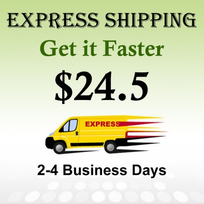 Express Shipping(DHL)