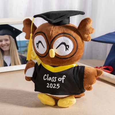 Personalized Graduation Owl Stuffed Animal, Plush Owl Doll with Bachelor Cap & Gown, Graduation Keepsake Class of 2025, Memorial Gift for Graduates