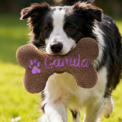 Personalized Embroidered Bone Shaped Plush Toy with Name, Custom Initials Soft Toy for Dog, Pet Supplies, Birthday Gift for Pet Lovers/Dog Owners