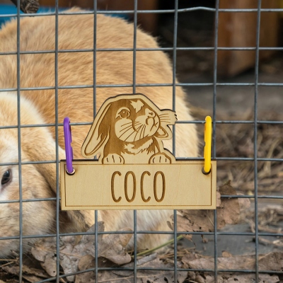 Personalized Name Rabbit Cage Tag, Custom Engraved Wooden Pet Bunny Tag, Hutch Accessories, Small Animal Cage Decor, Gift for Rabbit Owners/Breeders