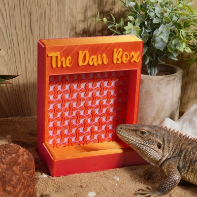 Personalized 3D Printed Insect Feeder Box for Reptiles, Food Tank Accessories, Reptiles Habitat & Care Feeding Dish, Gift for for Reptile Owners