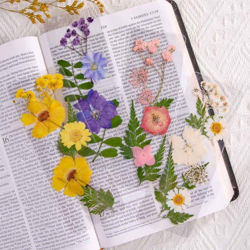 Colorful Flower Bookmarks Pressed Floral Bookmark with Real Dried Flowers, Handmade Aesthetic Page Marker Bookmark for Bookish Friends