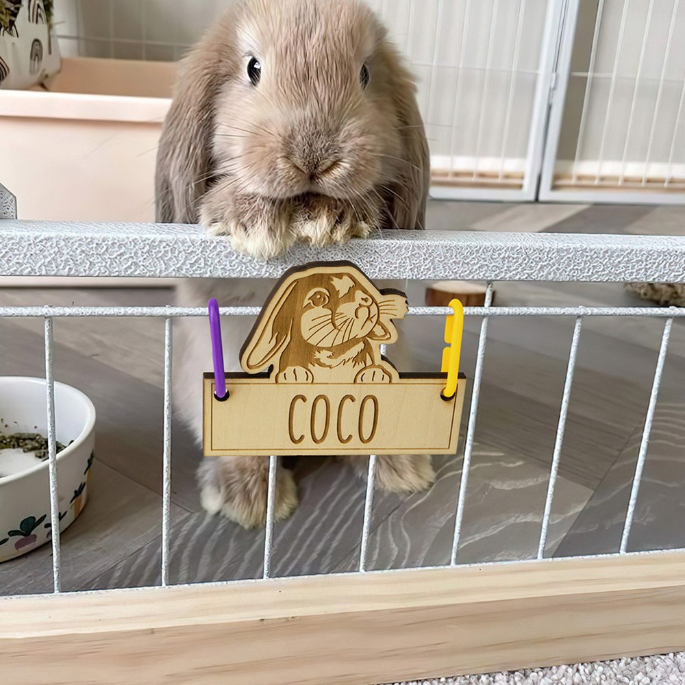 Cage Decor