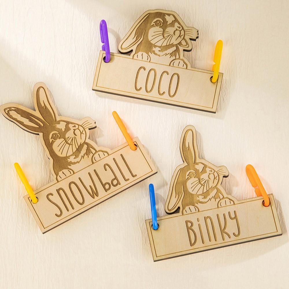 gift for rabbit lover