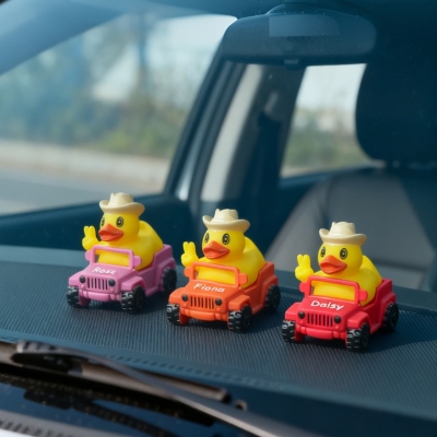 duck