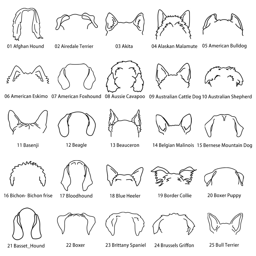  Dog Ear1