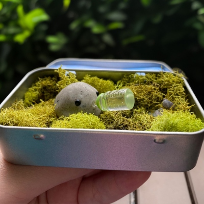 Funny Pet Rock with Feeding Bottle, Adorable Desk Pet with Adoption Certification, Plant Buddy, Home Garden Decor, Gift for Kids/Grandmom/Family