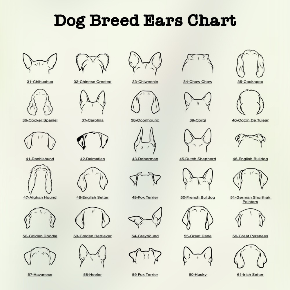 mat for dog food and water bowls