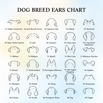 dog ears
