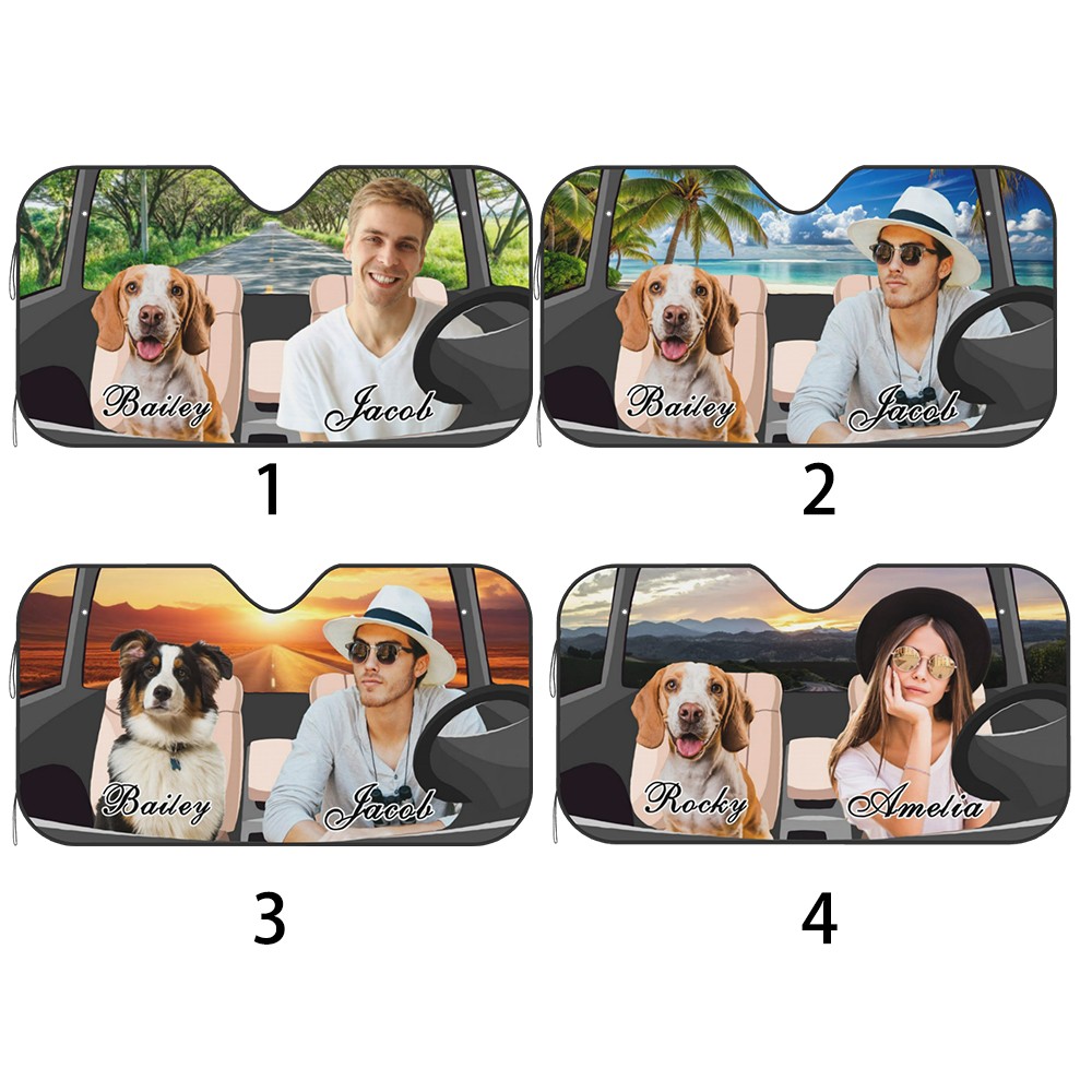 Car Window Protector
