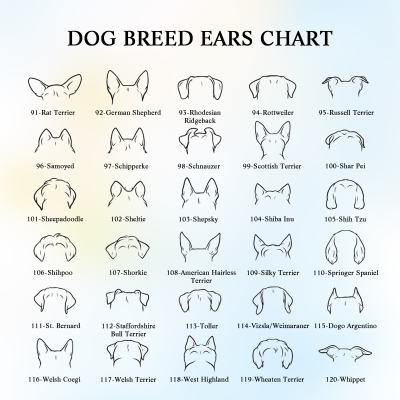 dog ears