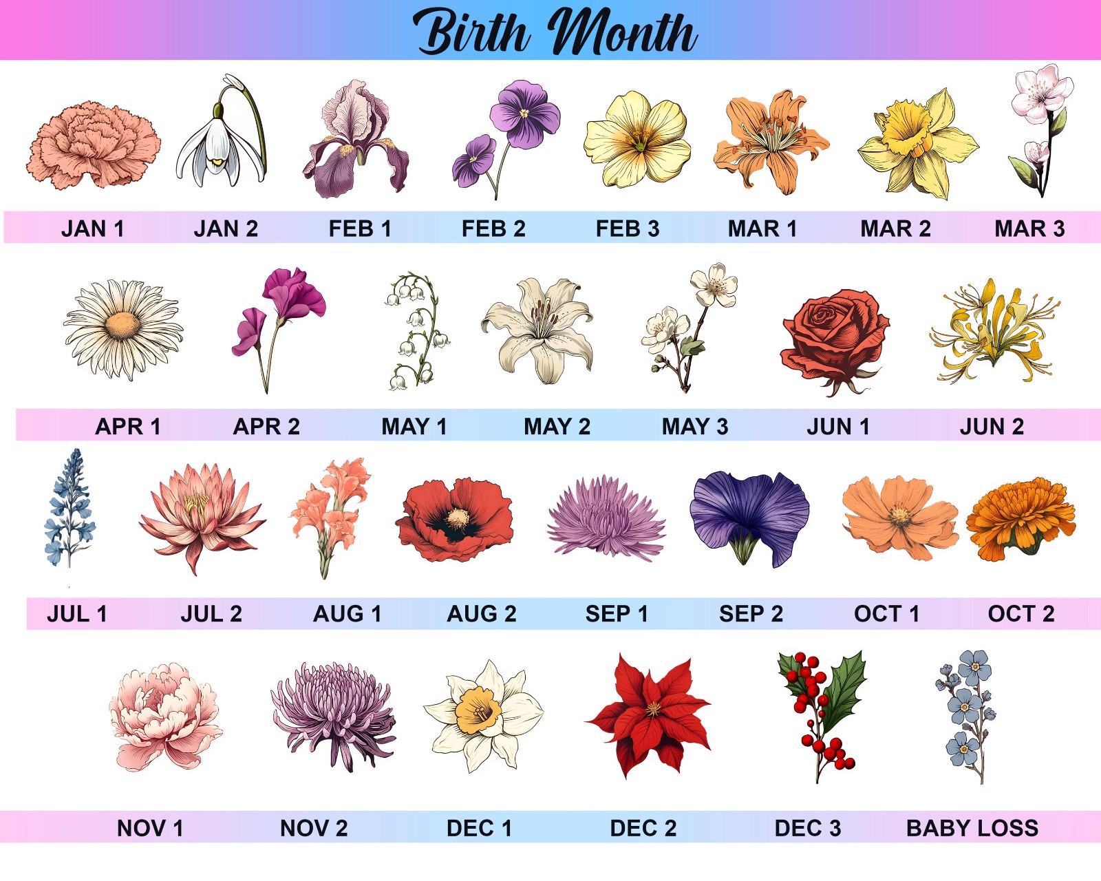 Birth Month Flower