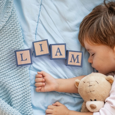 Namensblöcke Woodland Nursery Decor für Babypartygeschenk