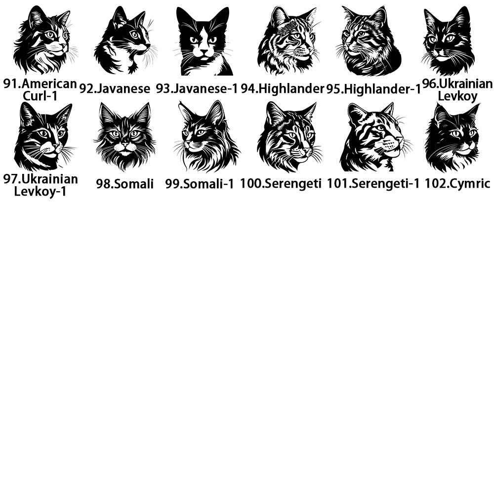 Katze 3