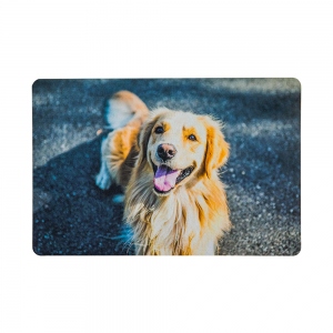 Presente de inauguração de casa com foto personalizada