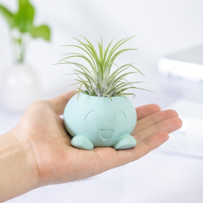 Concrete Cartoon Succulent Planter Pikachu/Bulbasaur/Oddish
