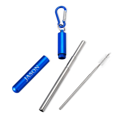 Personalized Reusable Drinking Straw, Collapsible Stainless Steel Straw Dispenser, Travel Telescopic Straw with Case, Cleaning Brush, Keychain