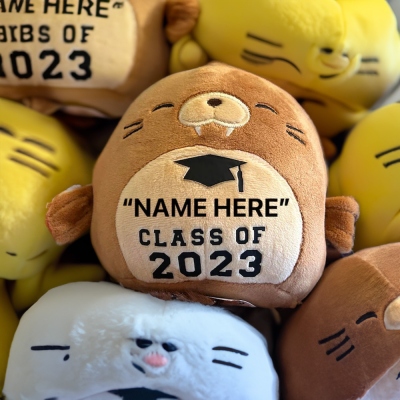 Personalized Name Class of 2024 Graduation Animal Plush Stuffed Toy, Cute Fluffy Squish Animal Plushie, Bedroom Decor, Graduation Gift for Graduates/Friends