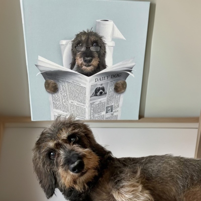 Personalized Pet Read Newspaper in Toilet Wall Art, Funny Pet Portrait Wall Art, Bathroom Decor, Housewarming Gift, Pet Gift for Dog Mom/Cat Lover