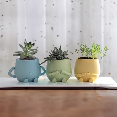 Happy Face Planters Set of 3, 